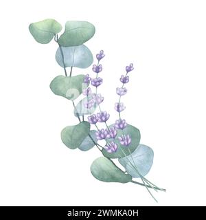 Eucalyptus green branch, lilac sprigs of lavender. Greenery vegetable clipart. Hand drawn watercolor illustration background. Botanical element for Stock Photo