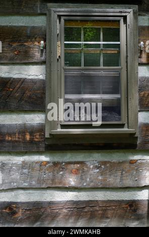 Cat sits inside the window at home, looking out through a screen and getting fresh air Stock Photo