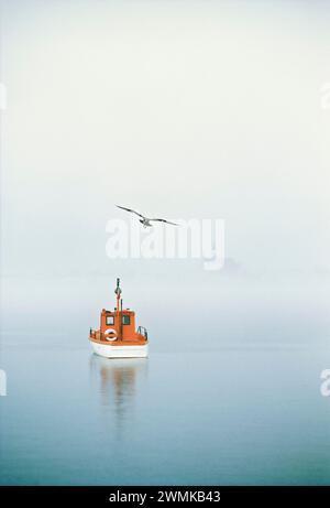 Seagull soaring over a boat at anchor on a foggy morning; Gaspe Peninsula, Quebec, Canada Stock Photo