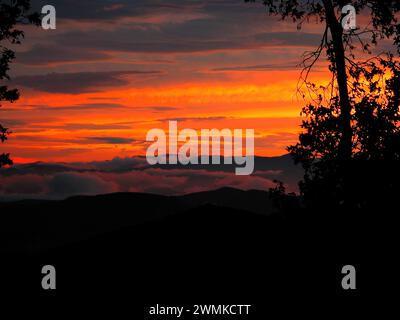 Trees silhouetted against a scenic sunset over a landscape Stock Photo