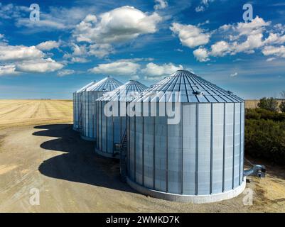 Large metal grain bins in a row in a field, near Beiseker, Alberta; Alberta, Canada Stock Photo