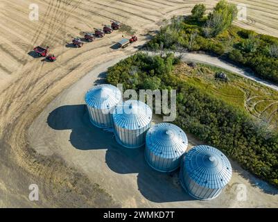 Aerial view of large metal grain bins in a cut field along a row of trees with a row of combines, near Beiseker, Alberta; Alberta, Canada Stock Photo