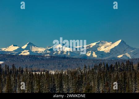 Snow-covered mountain range with foothills frosted evergreen trees in the foreground and blue sky, West of Calgary, Alberta; Alberta, Canada Stock Photo