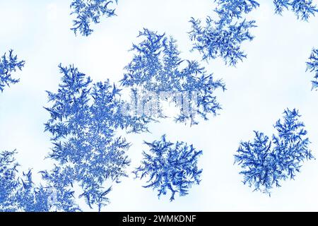 Extreme close up of cold coloured frost patterns on a window against a white background; Calgary, Alberta, Canada Stock Photo
