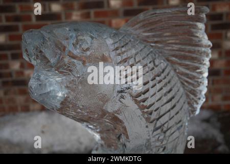 Newport, RI. Jan. 25, 2024. Sean Skelly of Attleboro, MA and Sam Sannie of Easton, MA carved three creations at Long Whark in downtown Newport, RI: a vase on a pedastel, a swan and a fish, in front of the crowd, as part of the Newport Winter Festival 2024. @ Veronica Bruno / Alamy Live News Stock Photo