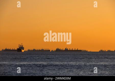 Merchant ships in the sea of Marmara near Istanbul; Istanbul, Turkey Stock Photo
