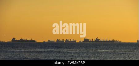 Merchant ships in the sea of Marmara near Istanbul; Istanbul, Turkey Stock Photo