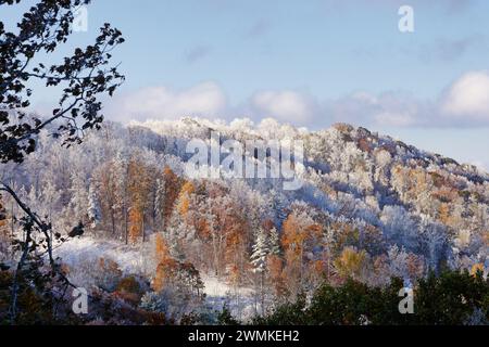 Snow covers trees with autumn colors after a rare October snow storm in the Blue Ridge mountains Stock Photo