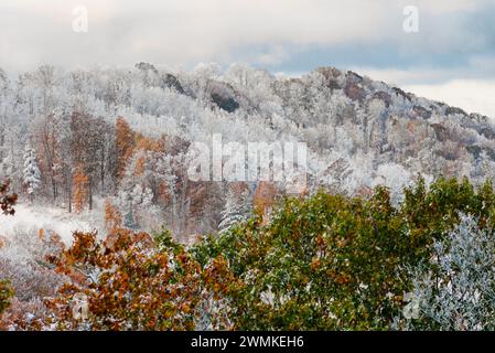 Snow covers trees with autumn colors after a rare October snow storm in the Blue Ridge mountains Stock Photo