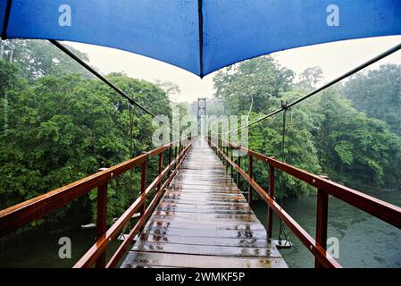Footbridge through rainforest in Costa Rica on a rainy day, from a point of view under a blue umbrella; Costa Rica Stock Photo