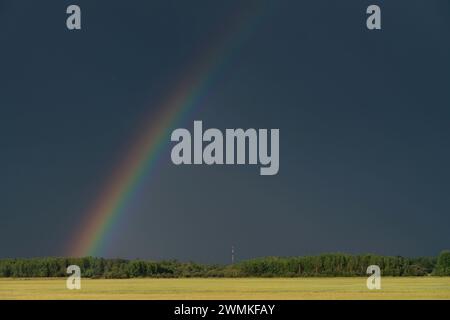 Stormy skies over the rural areas of Alberta. Rainbow appears over a wheat field; Grande Prairie, Alberta, Canada Stock Photo