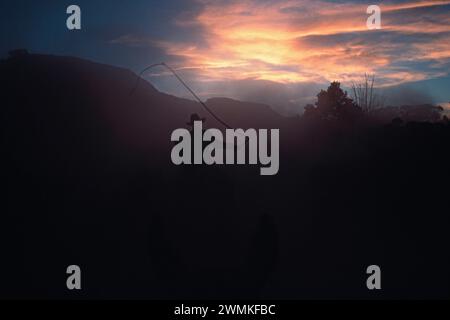 Cowboy cracks his whip driving a herd down a dusty trail from their winter range in Beef Basin, Utah. In the last rays of light, the rancher works ... Stock Photo