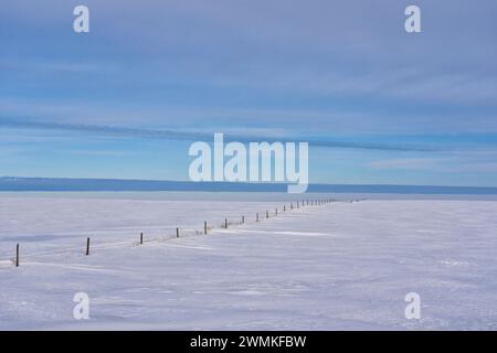 Wintery landscape in rural Saskatchewan with a fence leading off into the distance; Assiniboia, Saskatchewan, Canada Stock Photo