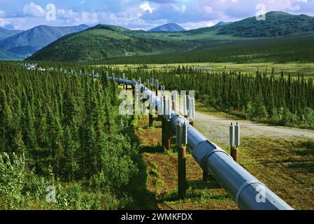 Views along the Dalton highway reveal the Trans-Alaska Pipeline System (TAPS), an oil transportation system spanning Alaska that includes the trans... Stock Photo