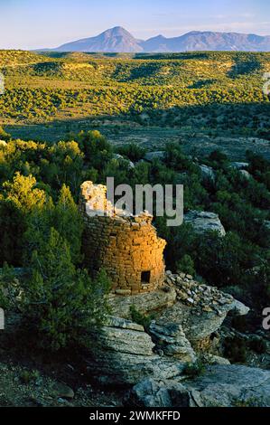 Painted Hand Pueblo includes a tower and sleeping rooms in Canyons of the Ancients National Monument, Colorado, USA Stock Photo