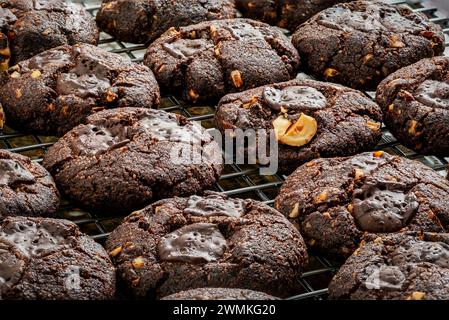 Close-up of rows of chocolate nut cookies on a cooling rack; Studio Shot Stock Photo