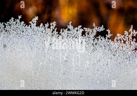 Extreme close up of frost patterns on glass with a glowing background at sun rise; Calgary, Alberta, Canada Stock Photo