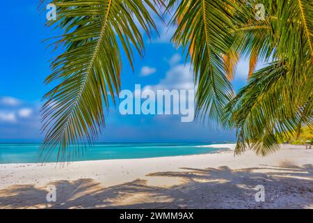 Summer beach landscape. tropical island shore, coast with palm tree leaves. Amazing blue sea horizon, bright sky and white sand as relaxing vacation Stock Photo