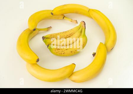 a large pile of ripe delicious yellow bananas folded in the shape of a circle on a wooden table on a white background. Stock Photo