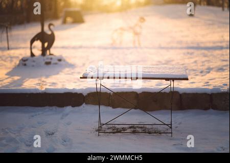 A wooden table in a snowy park with a dog nearby Stock Photo