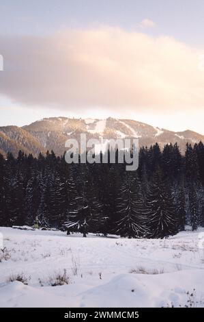 A vertical of snow-covered mountains with trees at dusk Stock Photo