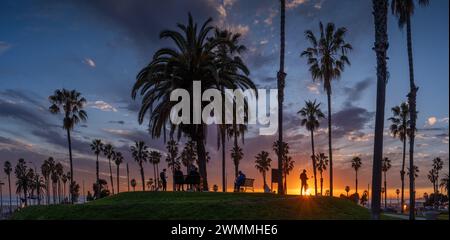Sunset on Santa Monica beach, panorama of palm tree silhouettes against fiery sky background. Los Angeles, California. Stock Photo
