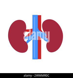 Art Illustration Design Concept Anatomy Body Human Symbol Icon Logo Realistic Of Spleen Stock Vector