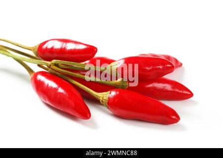Small red chili peppers on white background Stock Photo