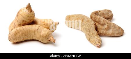 Fresh Gastrodia elata blume on white background Stock Photo