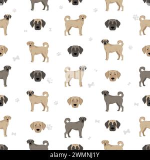 Kangal Shepherd dog seamless pattern. Different coat colors set.  Vector illustration Stock Vector