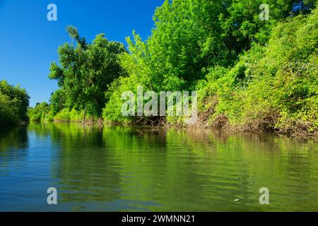 Luckiamute River, Luckiamute Landing State Park, Oregon Stock Photo