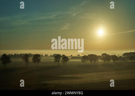 the trees in a field shrouded in fog at dawn from a bus window Stock Photo