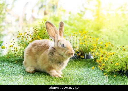 A tiny bunny sits amidst blooming flora and greenery. Stock Photo
