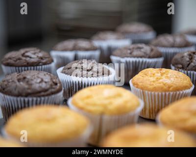 cupcake production inside the bakery Stock Photo