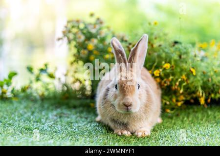 A tiny bunny sits amidst blooming flora and greenery. Stock Photo