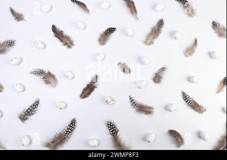 Top view of brown feathers, white easter eggs on white background. Creative easter composition, spring, copy space, flat lay. Stock Photo