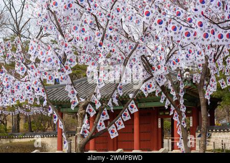 Seoul, South Korea. 27th Feb, 2024. Trees are decorated with Taegeukgi, South Korea's national flags at the entrance to Hyochang Park in the center of Seoul to commemorate Korean Independence Movement Day. The Korean Independence Movement Day, also known as the March 1st Movement, was an important protest movement of Koreans in early 1919 demanding independence from Japan and an end to forced assimilation into Japanese culture. Credit: SOPA Images Limited/Alamy Live News Stock Photo