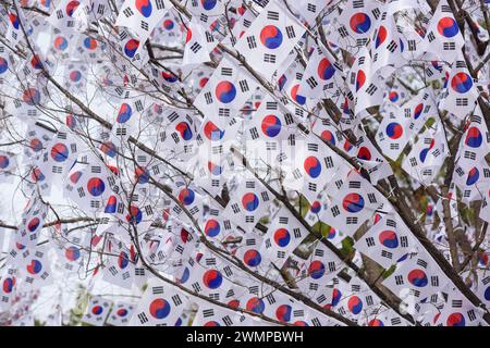 Seoul, South Korea. 27th Feb, 2024. Trees are decorated with Taegeukgi, South Korea's national flags at the entrance to Hyochang Park in the center of Seoul to commemorate Korean Independence Movement Day. The Korean Independence Movement Day, also known as the March 1st Movement, was an important protest movement of Koreans in early 1919 demanding independence from Japan and an end to forced assimilation into Japanese culture. Credit: SOPA Images Limited/Alamy Live News Stock Photo