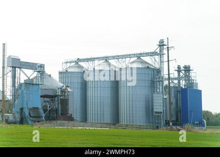 A modern agricultural setup featuring tall metal grain silos connected to bright yellow storage buildings, set against a sprawling green farmland. The Stock Photo