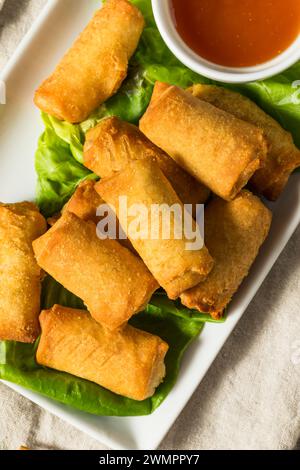 Chinese Deep Fried Vegetable Egg Rolls with Dipping Sauce Stock Photo