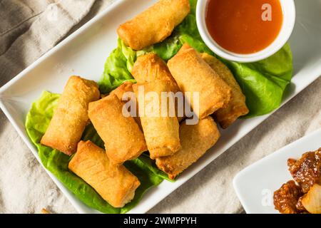 Chinese Deep Fried Vegetable Egg Rolls with Dipping Sauce Stock Photo