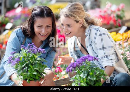 staff giving plant advice to female customer Stock Photo