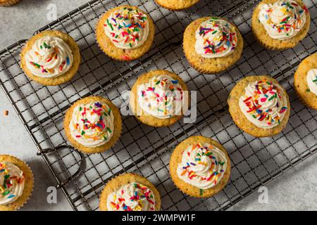 Sweet Homemade Funfetti Cupcakes with Frosting and Sprinkles Stock Photo