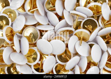 close up of golden thumb tacks with white cap, group of push pins top view Stock Photo