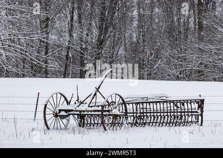 Horse-drawn cultivator on an Amish farm in Mecosta County, Michigan, USA Stock Photo