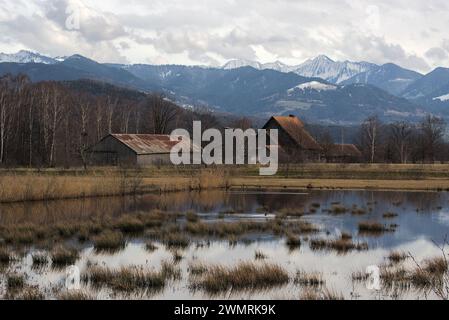 schollenriet in altstätten. reflections of grass tufts and mountains in water. Stock Photo