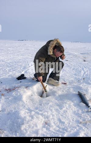 Tim Cook Alaskan guide ice fishing for sheefish on Kotzebue sound outside the village town of Kotzebue Sound Northwestern arctic Alaska Stock Photo