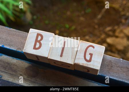 Photo of wooden blocks that make up the vocabulary "BIG" in English Stock Photo