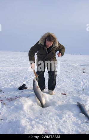 Tim Cook Alaskan guide ice fishing for sheefish on Kotzebue sound outside the village town of Kotzebue Sound Northwestern arctic Alaska Stock Photo