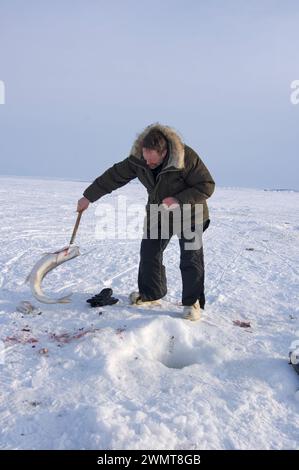 Tim Cook Alaskan guide ice fishing for sheefish on Kotzebue sound outside the village town of Kotzebue Sound Northwestern arctic Alaska Stock Photo